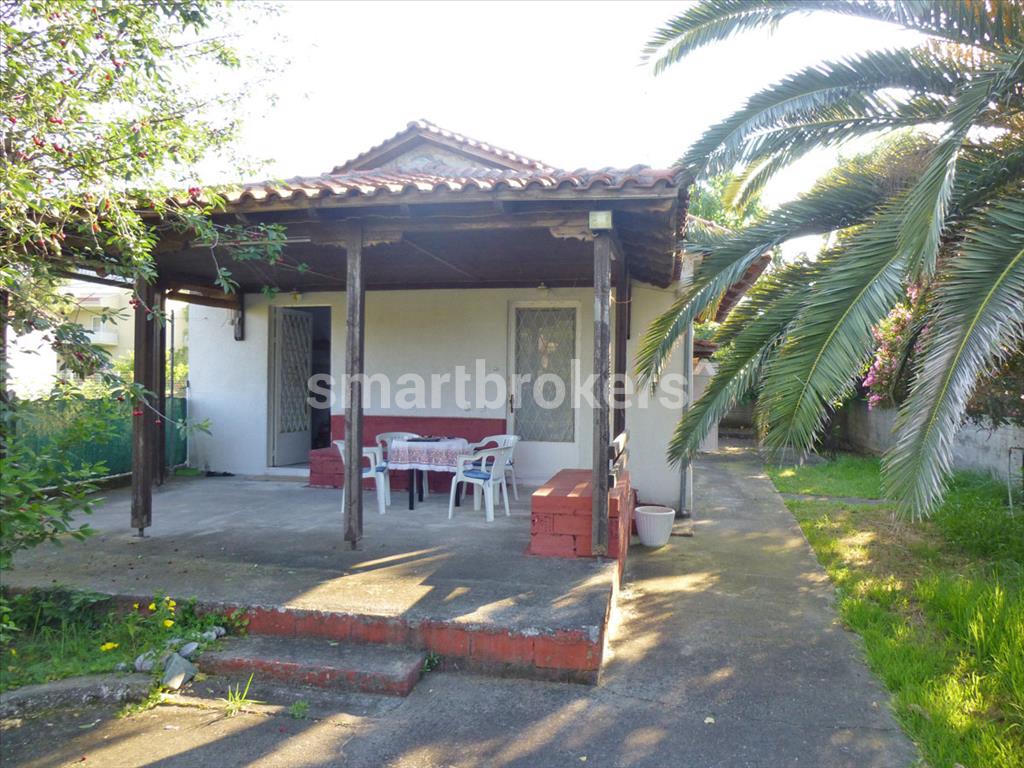 House with a spacious, private yard with direct access to the beach in the area of Leptokaria